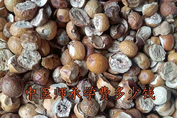 开封中医师承学费一年多少钱