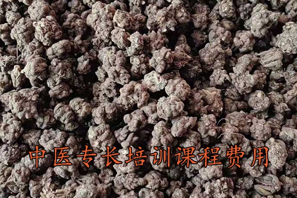 昆明中医专长培训课程费用