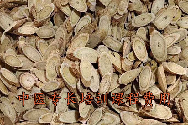 玉溪中医专长培训学校地址