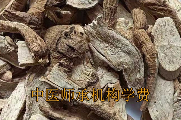 濮阳中医师承机构学费多少