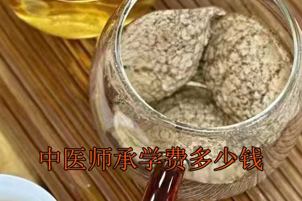 衡阳中医师承学费一年多少钱