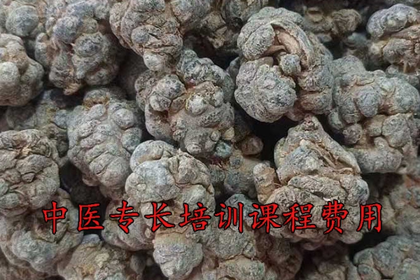 宝鸡中医专长培训班哪家正规