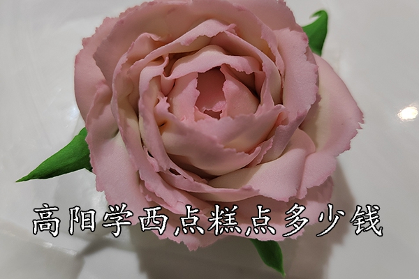 01.jpg