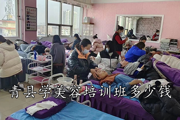 青县学美容培训班多少钱